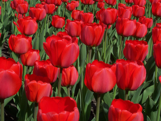 419816 (a): :1600x1200